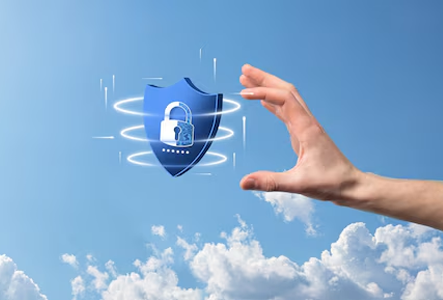 Sustainability & Digital Trust